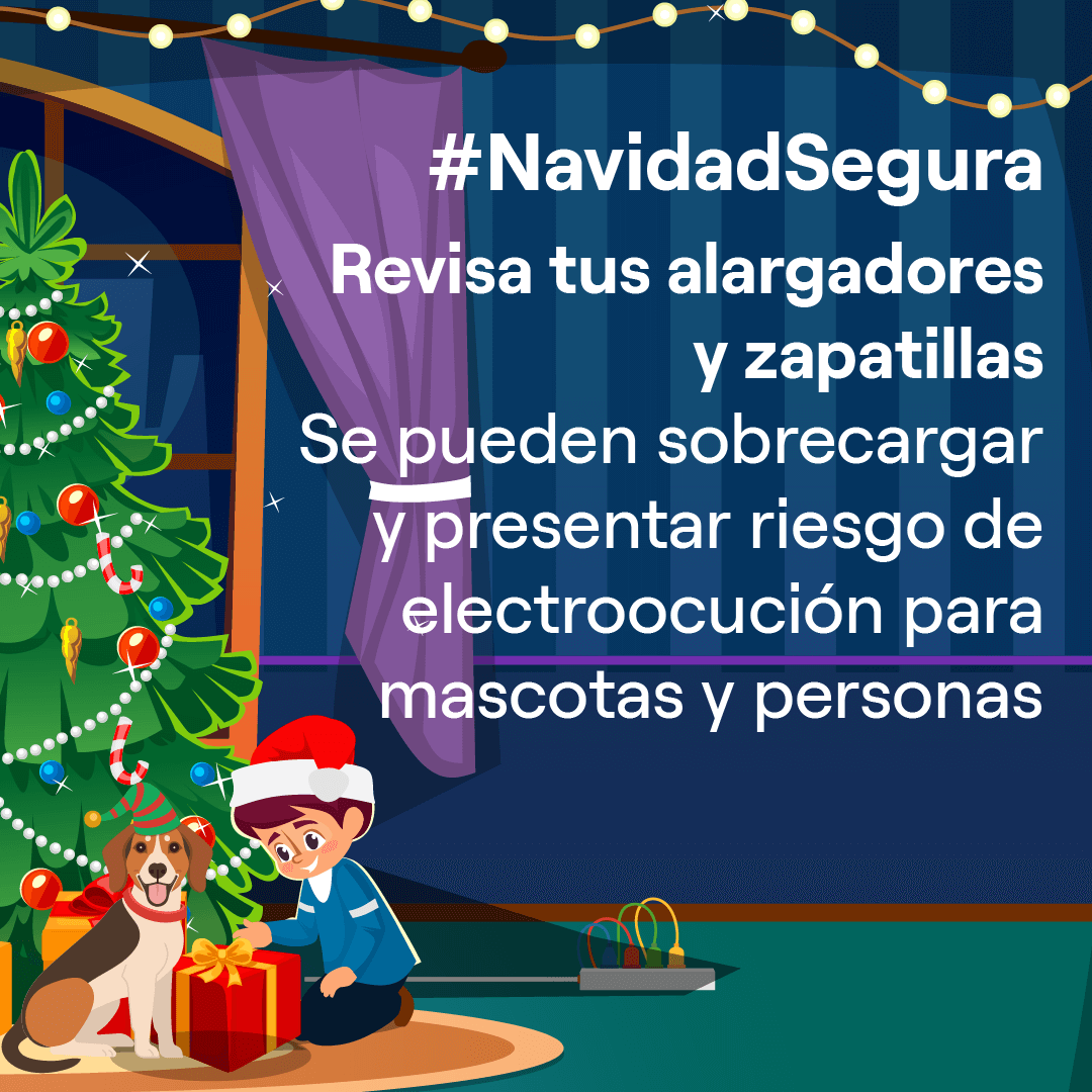 Revisa tus alargadores y zapatillas. Se pueden sobrecargar y presentar riesgo de electrocución para personas y mascotas.