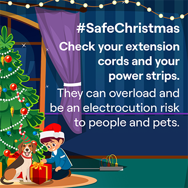 Check your extension cords and your power strips. They can overload and be an electrocution risk to people and pets.