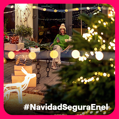 Navidad Segura - Evita adornar los árboles de los jardines exteriores. Por el riego aumenta la probabilidad de electrocución.