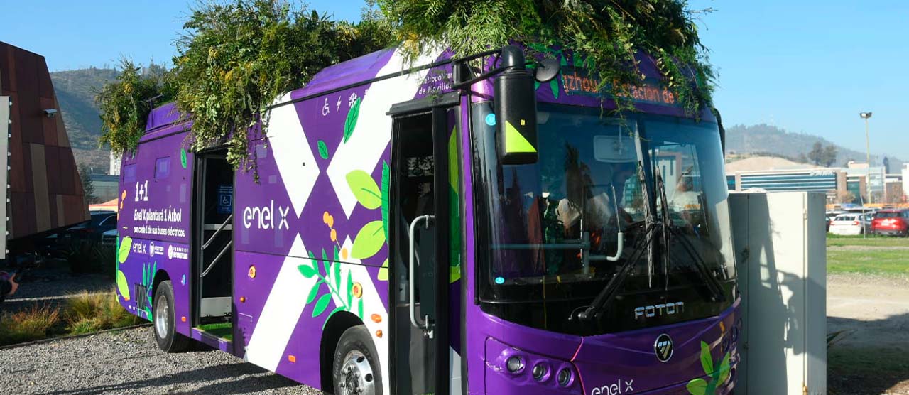 Bus árbol Enel X