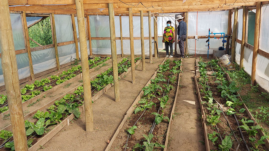 Sistemas de Riego Emprendedoras Agrícola