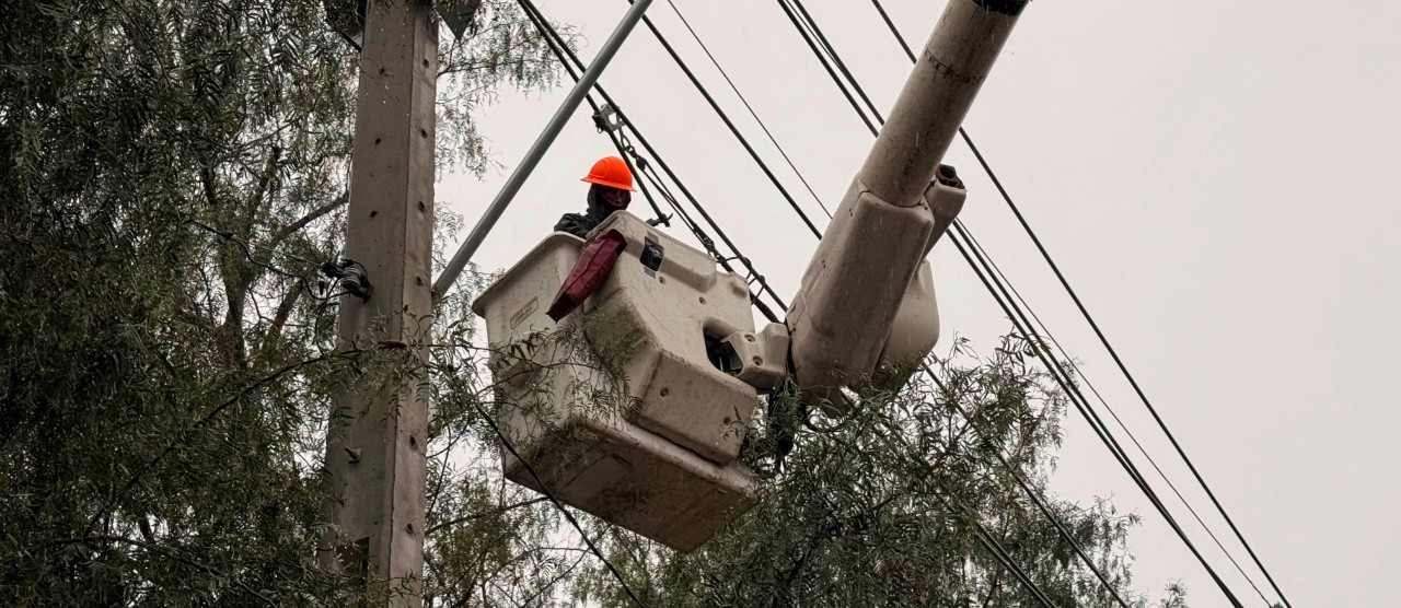 Trabajos-en-Terreno-1280x556.jpg