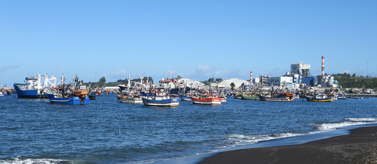 Bocamina: Compromiso cumplido