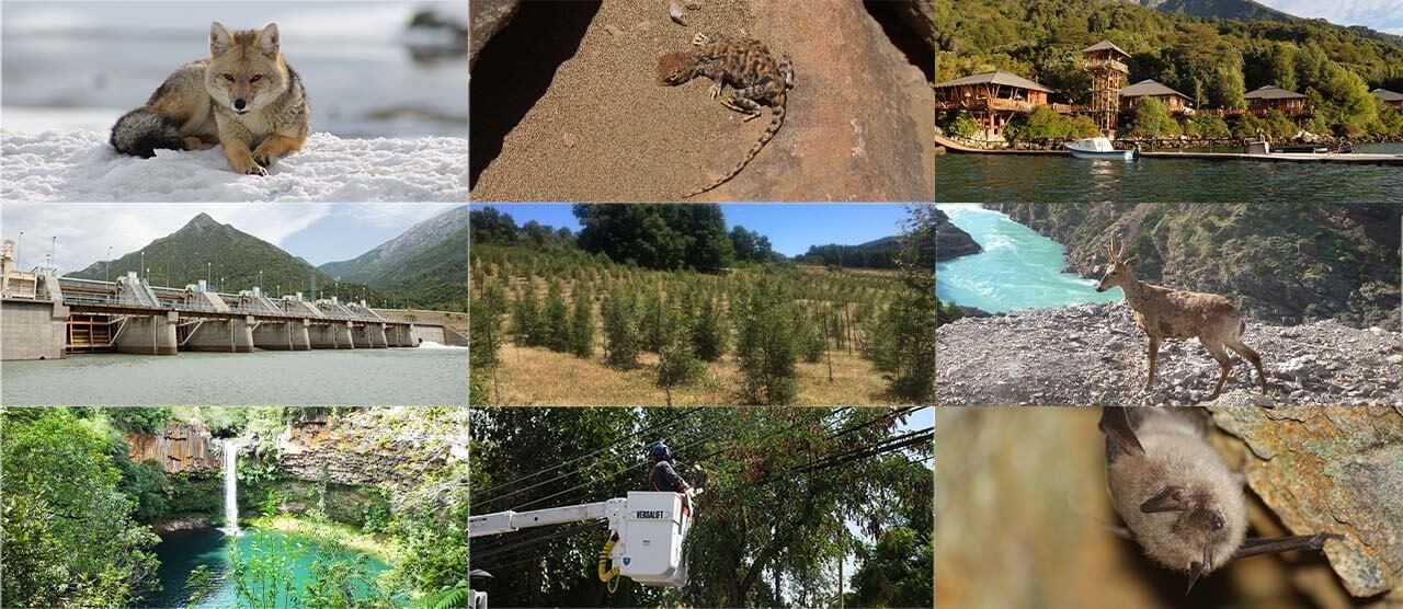 Proyectos Conservación de Biodiversidad