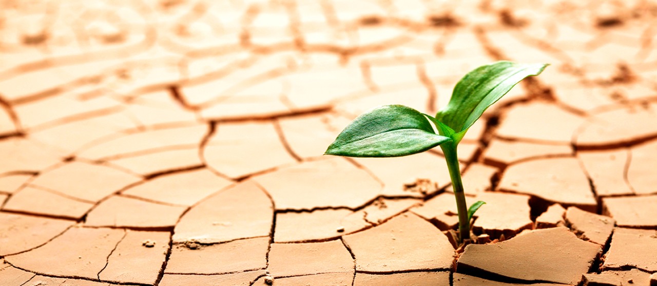 Cambio Climático