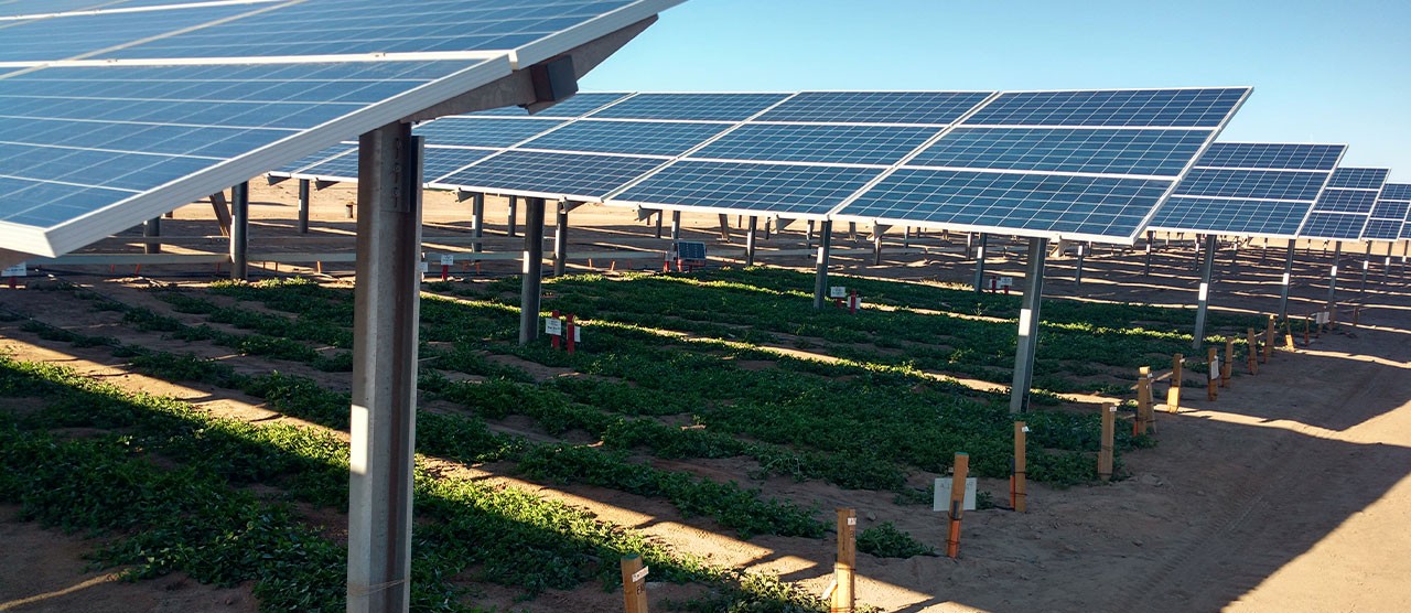 Paneles Solares con Camanchaca
